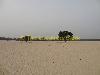 dunes