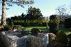 Garten mit Terrasse wit en groen