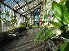 green house
