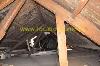 Dachboden