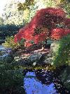 japanese Garten