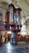 organ