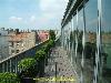 Roof terras