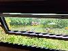 Ein Dachfenster bietet Ausblick auf einen grünen Garten mit Gartenmöbeln, Sonnenschirm und Holzschuppen.