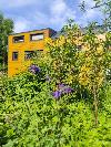 Ein gelbes Holzhaus mit dunklen Fensterrahmen steht hinter dichter Vegetation mit violetten Blüten und kleinen Bäumen.