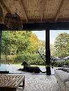 Ein schwarzbrauner Hund liegt auf der Terrasse neben einer Hängematte, mit einem grünen Garten im Hintergrund.