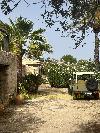 Ein grüner Geländewagen mit Reserverad steht auf einem unbefestigten Innenhof neben einem Steingebäude und Palmen.