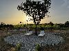 Zwei Sonnenliegen stehen auf einer Kiesfläche unter einem Baum, dahinter sind ein niedriges Gebäude und der Sonnenuntergang sichtbar.