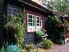 foresthouse