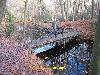 Forest foot Br&uuml;cke