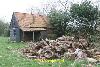 Barn oder shed
