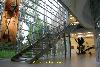 modern Treppe