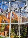 Huis met veel glas