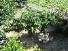 View on the vinyard und court