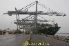 Harbour