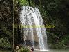 tropical Wasserfall