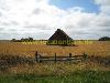 Alte barn oder shed