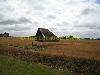 Alte barn oder shed