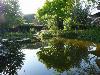 Garten pond