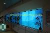 Schwimmbad mit underwater window