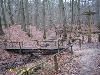 Houten brug in het bos